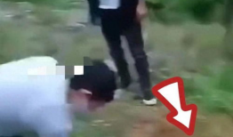 残忍视频,残忍视频背后的残酷现实